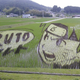 Illustration for article titled Japans Amazing Rice Paddy Art Continues to Dazzle